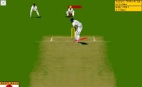 Виртуален Крикет