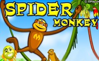 Spider Monkey